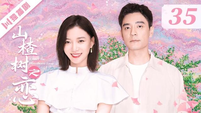 【FULL】EP35 山楂树之恋 | Hawthorn Tree Forever 王珞丹/李光洁/宋轶