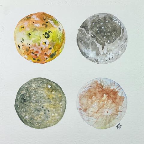 MOONS OF MY CHILDHOOD by Danielle Rose Baker. A watercolor painting of four moons of Jupiter: Io, Ganymede, Callisto, and Europa, as imaged by the Voyager probes. Io (top left) is seen in yellows and oranges, showing a heavily altered surface from massive volcanic activity. Ganymede (top right) is seen in shades of gray and brown, with large light-colored cracks and impact ejecta. Callisto (bottom left) shows massive cratering, and is seen in dark grays and greens. Europa (bottom right) is seen in pastel greens and blues, with rust-colored networks of cracks and seams across the surface.
