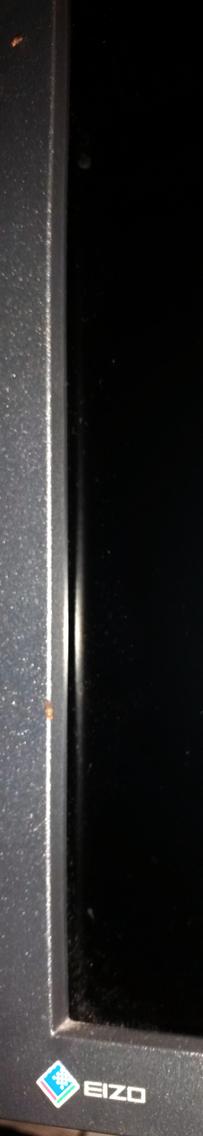 Picture of the edge of a graphical monitor. On it two fruit flies.