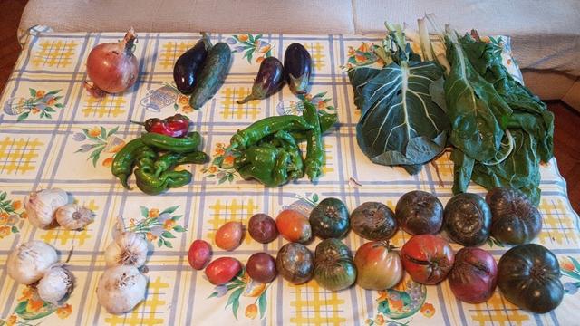Contenido de la cesta de la semana sobre el hule de una mesa.
A la derecha abajo, tomates, y a la izquierda, ajos.
Encima y de derecha a izquierda, hojas de acelgas y de berza asa de cántaro. Pimientos, berenjenas, un pepino y una cebolla de buen tamaño.