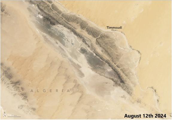 Landsat9 satellite image  -  Sebkha el Melah, Algeria, dry, August 12th 2024