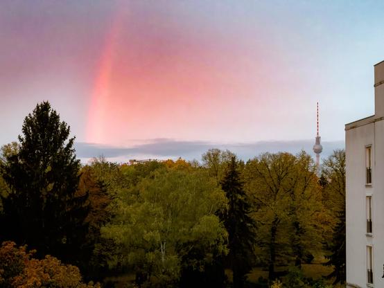 A scenic view features a rainbow against a pastel sky, with lush green trees and the Berlin TV Tower visible in the background. The image captures a serene urban landscape transitioning from morning to day.