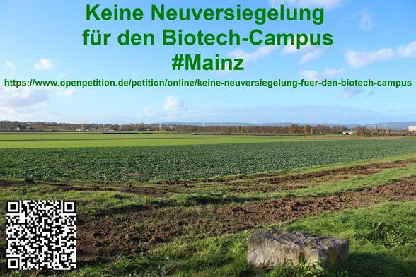 Man sieht eine weitläufige Ackerfläche in der zur Diskussion stehenden Bretzenheimer Ebene, teilweise bewachsen, im Vordergrund einen Grenzstein. Im Hintergrund Gehölze. Blauer Himmel.
Text im Bild: Keine Neuversiegelung für den Biotech-Campus #Mainz. 
Dazu der Petitionslink: https://www.openpetition.de/petition/online/keine-neuversiegelung-fuer-den-biotech-campus
Unten links ein QR-Code zur Petition.