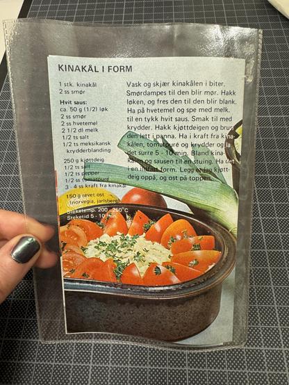 Oppskriften på kinakål i form.