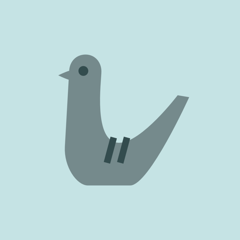 An illustration of a pigeon on light blue background