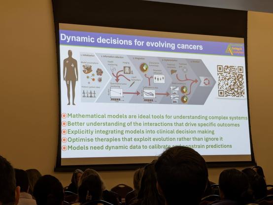Cancer decisions in evolving cancers slide