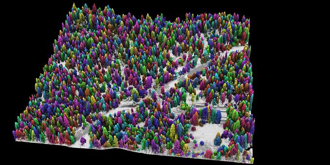 image - LiDAR data of trees and ground surface