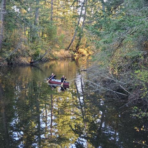 Two canoeists, paddling along the river, with their 2 small dogs in boat.