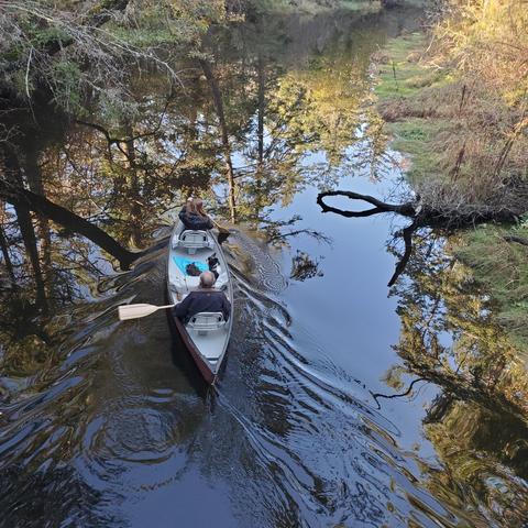 View from bridge above, looking down at canoeists.
Two canoeists, paddling along the river, with their 2 small dogs in boat.