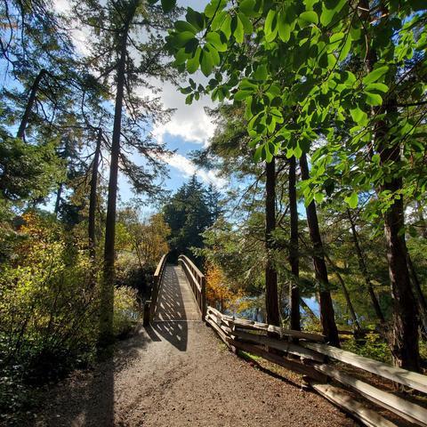 A footbridge, over Colquitz River.