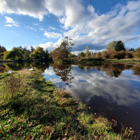 Part of the estuary area of Colquitz River, in Cuthbert Holmes Park. Looking over the river.