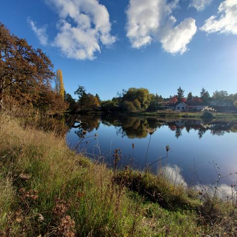 Part of the estuary area of Colquitz River, in Cuthbert Holmes Park. Looking over the river.