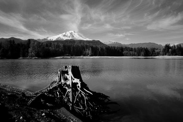Snow-capped Mount Baker seen from across a lake with a driftwood stump in the foreground.