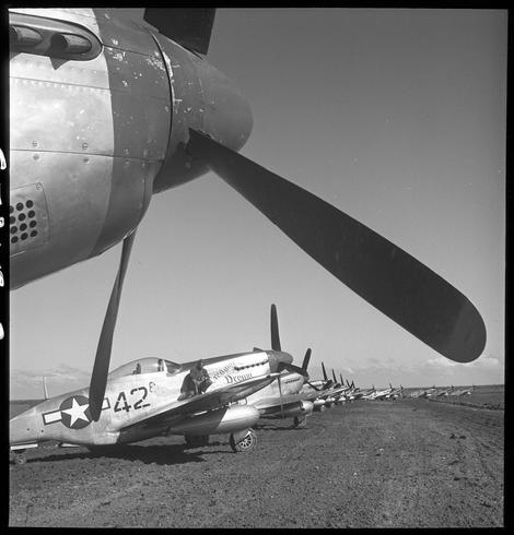 The image captures a vintage black and white photograph featuring the extensive propeller blades of an aircraft. The focus is on one specific airplane with distinct markings, including "42" painted prominently near its nose, along with star insignias indicative of military affiliation, suggesting this was taken during World War II or shortly thereafter.

In the background, we observe a line-up of similar airplanes parked in a field, underlining that they are part of a larger fleet. These planes have visible names and numbers on their fuselages, indicating individual identities within the squadron. The setting is likely an airbase given the array of aircraft lined up for maintenance or preparation.

A unique feature is the presence of an unidentified Tuskegee airman sitting atop one plane named "Creamer's Dream," located at Ramitelli Airfield in Italy during March 1945, as suggested by the caption. The photo seems to be a significant historical record from World War II, showcasing not only military hardware but also capturing personal moments of those who served.

The photograph is detailed with evidence suggesting it was taken on nitrate film using medium format roll film (specifically mentioned in its metadata), which adds authenticity and contextualizes the era during which this image might have been captured.