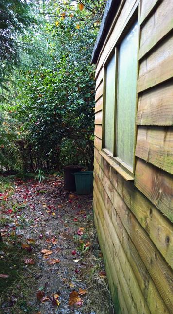 #OurCamellias are #Still #Camellioratin'...