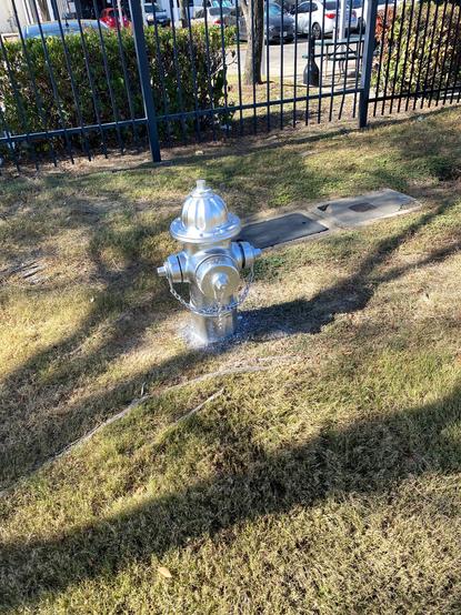Newly painted fire hydrant in reflective silver. Overspray visible on dirt surrounding hydrant.