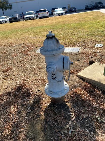 Fire hydrant (that is nearby), featuring peeling white paint.