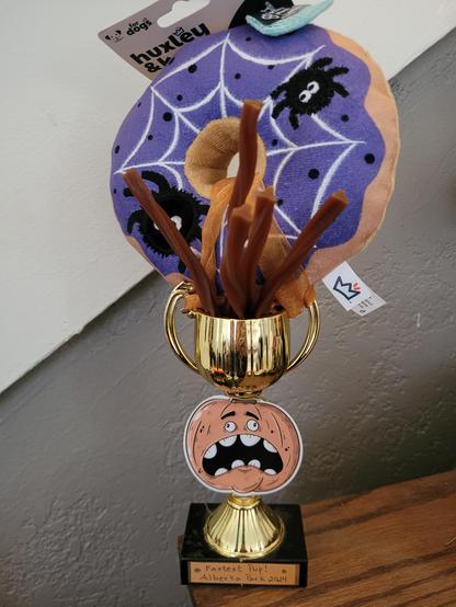 Trophy labeled Fastest pup! Alberta Park 2024

On top is a doughnut spider plush toy with treats sticking out all around