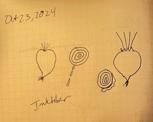 Sketches of 2 beets from the side and also in cross section with an attempt to hint at some leaking juice