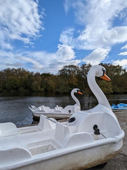 Two giant swan-shaped 🦢🦢 pedal boats waiting to be rented on the Heaton Park boating lake in Manchester UK on a partly sunny ⛅ autumn 🍂 day.