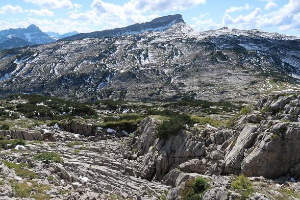 Wide view of a sunny mountainous rocky plateau with a few pine shrubs. In the background higher rocky mountains covered with snow.