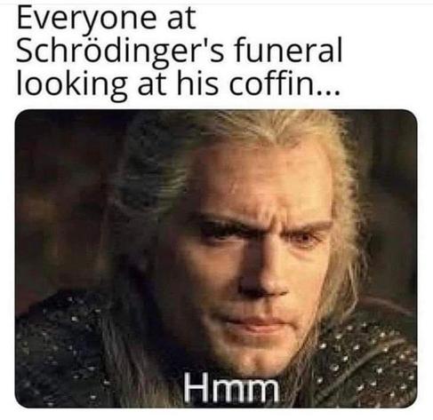 A humorous meme featuring a person with long hair looking thoughtfully, captioned "Everyone at Schrödinger's funeral looking at his coffin... Hmm."