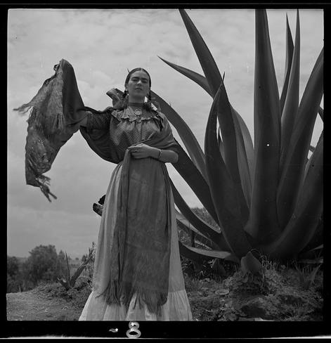 The image is a black and white photograph of an individual who appears to be Frida Kahlo, as indicated by the caption. The person stands in front of several large agave plants with their arms extended slightly outward on one side. They are wearing traditional Mexican attire that includes a polka-dotted blouse or dress over which they have draped what looks like shreds of fabric or possibly animal fur. Their hair is styled into braids, and the overall posture suggests confidence or strength. The sky in the background appears to be partly cloudy but also provides ample daylight for this outdoor photo shoot.

Additional information about this image can be found through a reference provided by Tony Frissell: https://images.loener.nl/TonyFrissell/full/662c/662cd23cb35d44bfce94df84.jpg. This indicates that the photograph was taken during a photo shoot for Vogue magazine, part of an article titled "Senoras de Mexico" [1937].