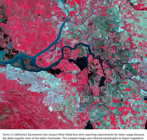 remote sensing imagery - farms in California's Sacramento - San Joaquin River Delta face strict reporting requirements for water useage because the delta supplies most of the state's freshwater; this landsat image uses infrared wavelengths to depict vegetation
