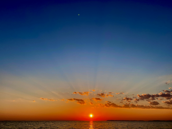 Color image of sunset across the St. Helena Sound, ACE Basin, Edisto Island, South Carolina, USA. Image shows the sun setting into the Atlantic Ocean, crepuscular rays in orange and yellow lighting up a dark blue sky.
