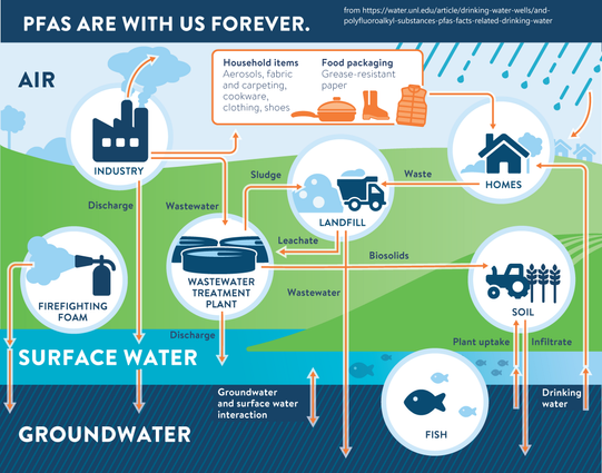 graphic - PFAs are with us forever