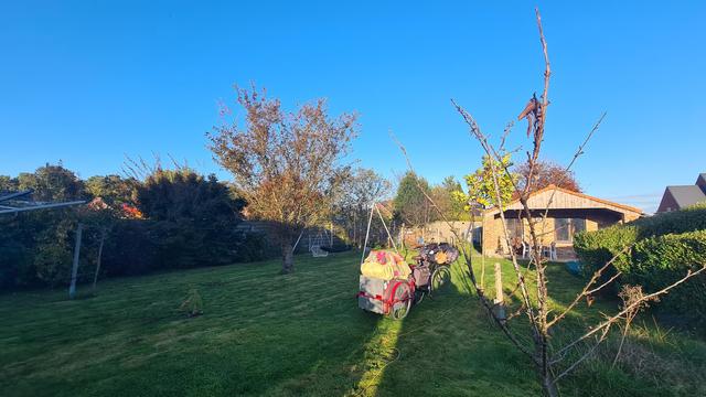 A typical family garden with swings, a trampoline, a clothes line. The bicycle stands between various types of young trees.
