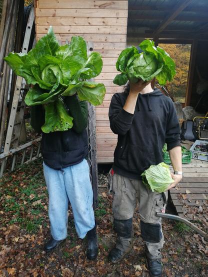 a person who holds a head of cabbage in front of his face so that it cannot be recognized.