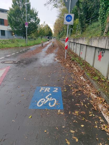 Beginn einer Radvorrangroute mit Beschilderung und Bodenpiktogramm. Nasse Fahrbahnt mit viel Laub.