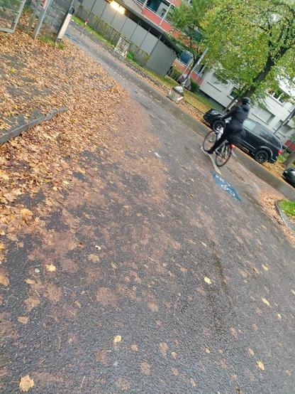 Nasse Fahrbahn mit viel Laub in einer Linkskurve.