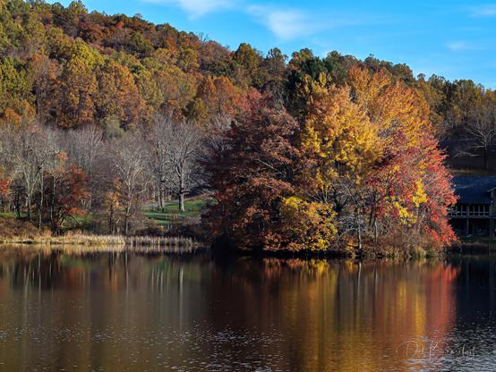 A serene lake mirrors the vibrant autumn colors of surrounding trees at Abbott Lake, Peaks of Otter, Virginia, with a visitor center nestled among the foliage.  Image at:  https://beautifulsunphotography.com/featured/reflections-of-autumn-serenity-deb-beausoleil.html See more art & blog at: https://beautifulsunphotography.com/ https://debbeautifulsunphotography.com/ https://www.zazzle.com/store/beautifulsun_designs https://debbeausoleil.com https://www.artpal.com/BeautifulSun/