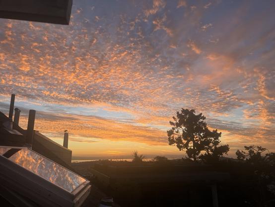 pretty sunrise.