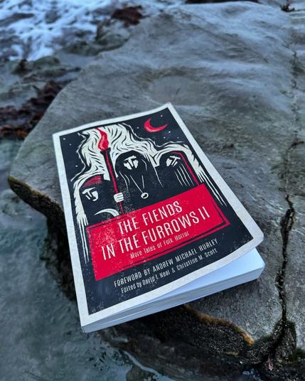 A copy of the book, lying on a seashore rock as the tide laps around it.