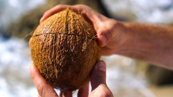 comment-ouvrir-une-noix-de-coco-sans-outil-video