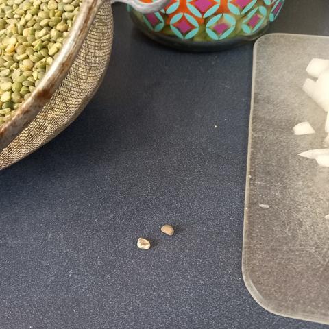 Two small pebbles on a counter-top surrounded by ingredients for split pea soup. From left, clockwise: split peas in a strainer, glass bowl of chopped vegetables (looks like carrots, mostly), and translucent cutting board with a few bits of chopped onion visible.