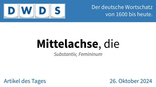 Mittelachse, die | Substantiv, Femininum