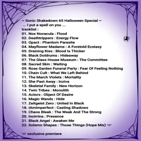 🦇 Sonic Shakedown 65 Tracklist Halloween Special 2024 🦇  
... I put a spell on you ...