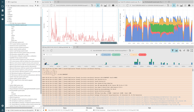 A screenshot demonstrating the new splittable visualization area feature in binjr