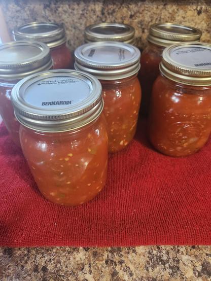 7 mason jars with homemade salsa sitting on a red towel