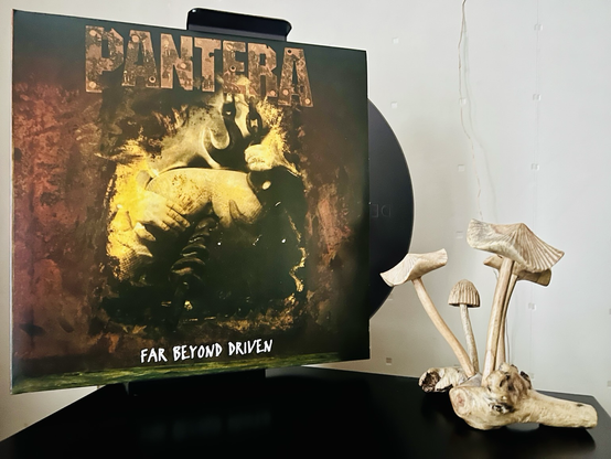 Pantera - Far Beyond Driven - 1994