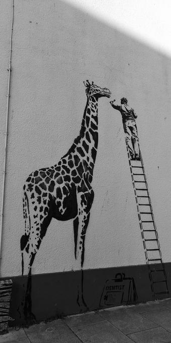 Sur un mur blanc de la ville de Taunton, en Angleterre, un street art à la peinture noire représente une girafe qui se fait brosser les dents par un dentiste perché sur une échelle.