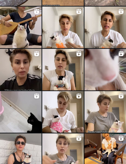 Screenshot of posting history from an Instagram account, mostly showing a woman and a white cat