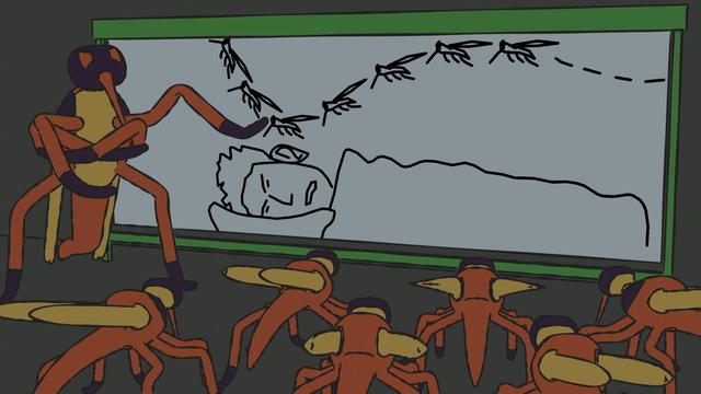 A mosquito class, the teacher showing to the pupils on a whiteboard drawing how to fly-by close to human ears while they sleep. Done in a cartoon-ish style.