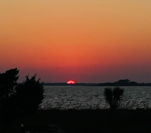 Color image of the sun setting off Edisto Beach, Edisto Island, South Carolina, USA. Image shows a gradient orange sky meeting the Atlantic Ocean in Coastal South Carolina, the orange ball of the sun dissected by the horizon itself, half of the sun already sunk below. The foreground shows the shadowed figure of coastal trees, sea oats, and palmettos.