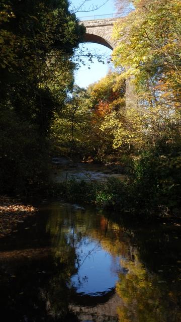 A portrait orientation photo looking towards the arch of an old railway viaduct, high in the middle of the picture against a blue sky. Below is a dark river, with the sky and arch reflected in it. To the sides and in front are autumnal coloured trees.