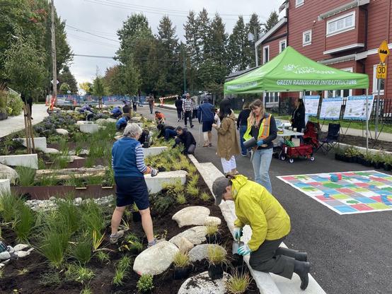 Volunteers planting a rain garden by a roadside with greenery, rocks, and a drainage feature, bordered by a sidewalk and a street.